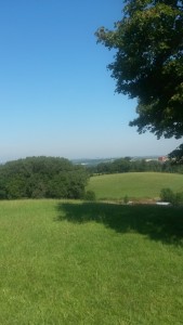 20150821_113514 (2)